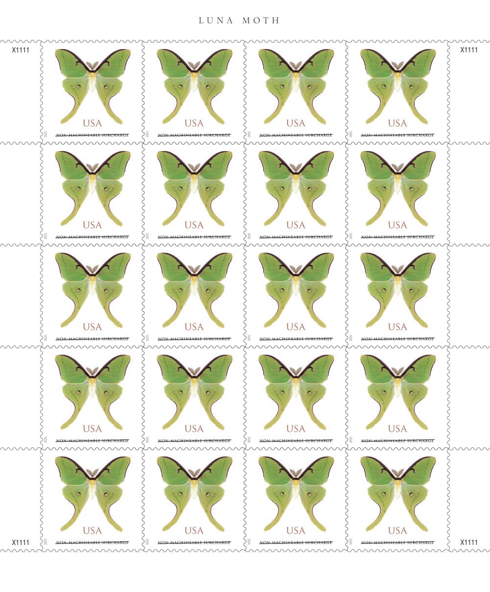 2025 Luna Moth Stamps | Forever Stamps US Postage Stamps