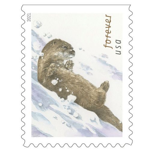 2021 Otter in the Snow Forever®Stamp | Forever Stamps US Postage Stamps
