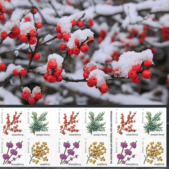 2019 Winter Berries Forever Stamps | Tool Stamps US Postage Stamps