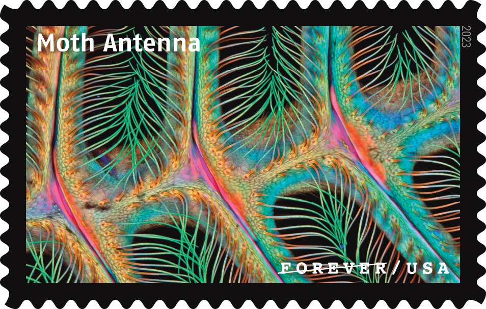 2023 Life Magnified Stamps - Forever Stamps