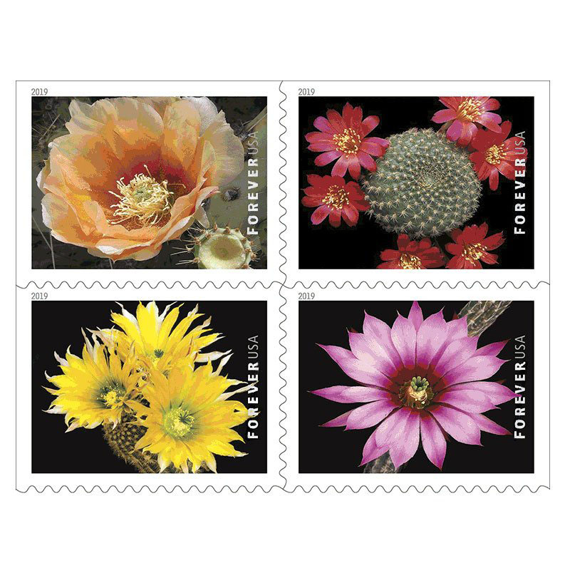 2019 Cactus Flowers Forever®Stamp - Forever Stamps