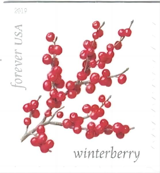 2019 Winter Berries Forever®Stamp - Forever Stamps