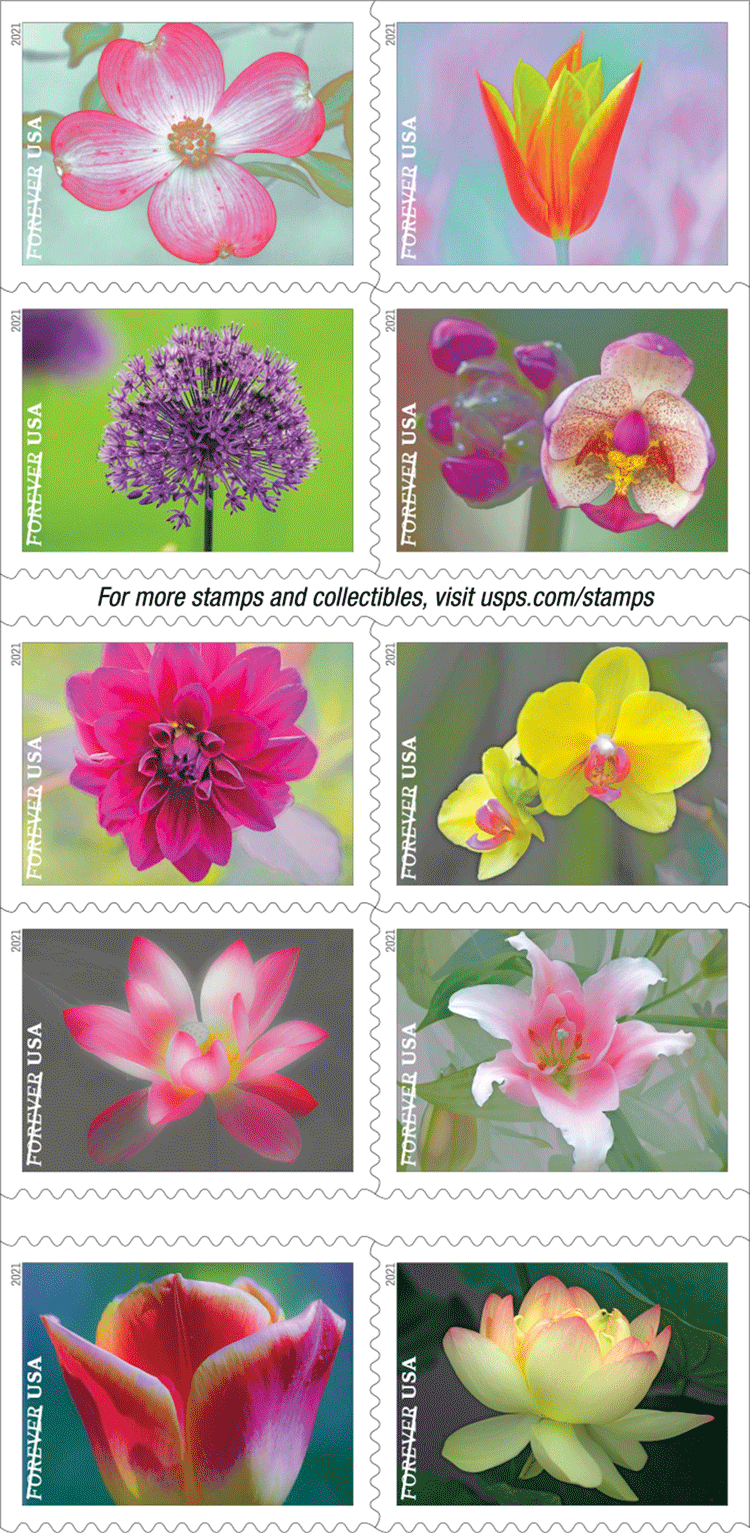 2021 Garden Beauty  Forever®Stamp - Forever Stamps