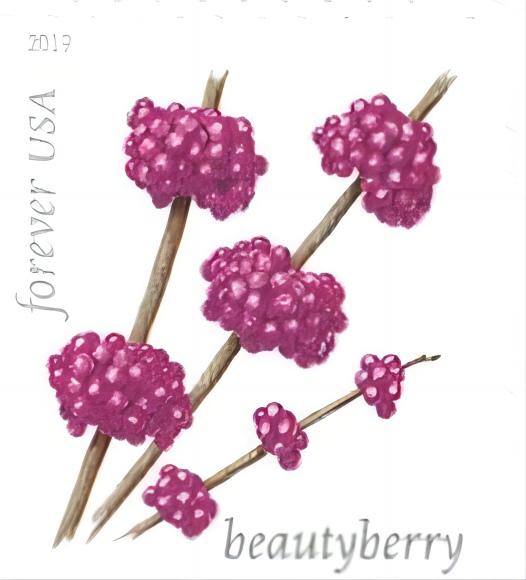 2019 Winter Berries Forever®Stamp - Forever Stamps