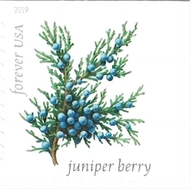2019 Winter Berries Forever®Stamp - Forever Stamps