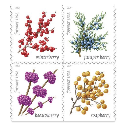 2019 Winter Berries Forever®Stamp - Forever Stamps