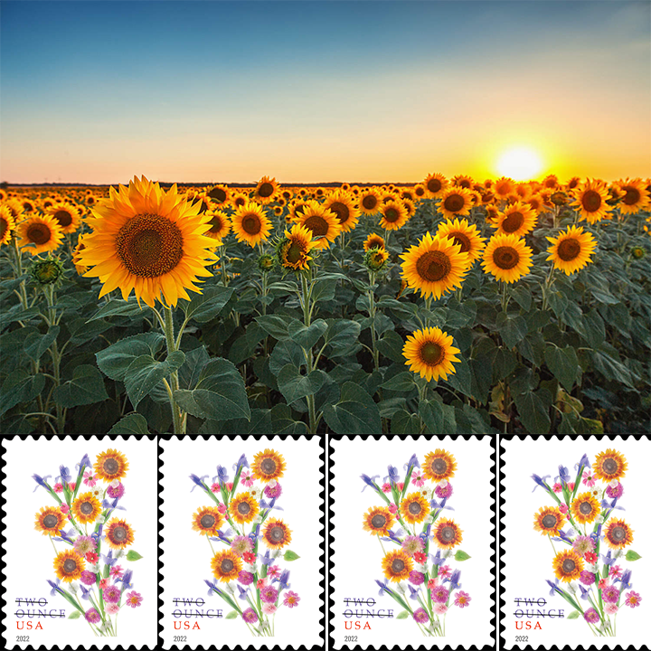 2022 Sunflower Bouquet Forever®Stamp - Forever Stamps