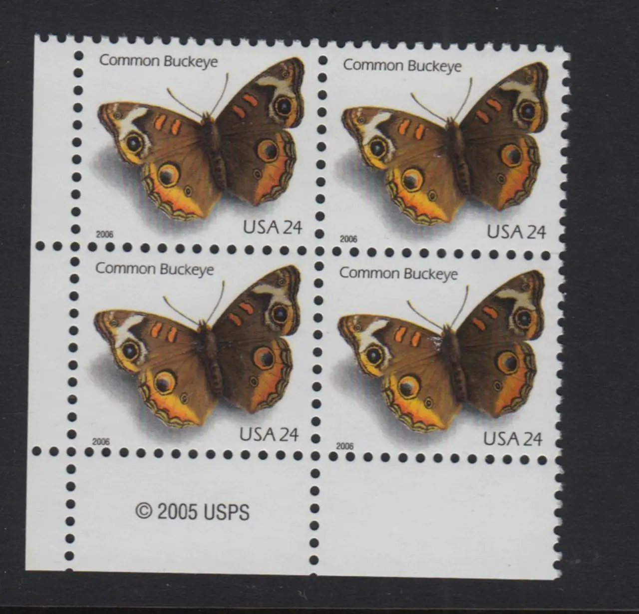 2006 Common Buckeye Butterfly Stamps - Forever Stamps