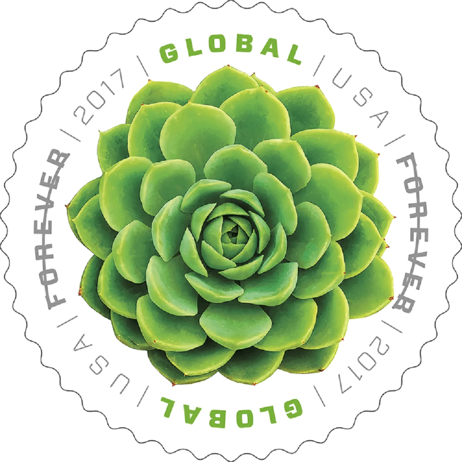 2017 Global: Green Succulent Stamp - Forever Stamps