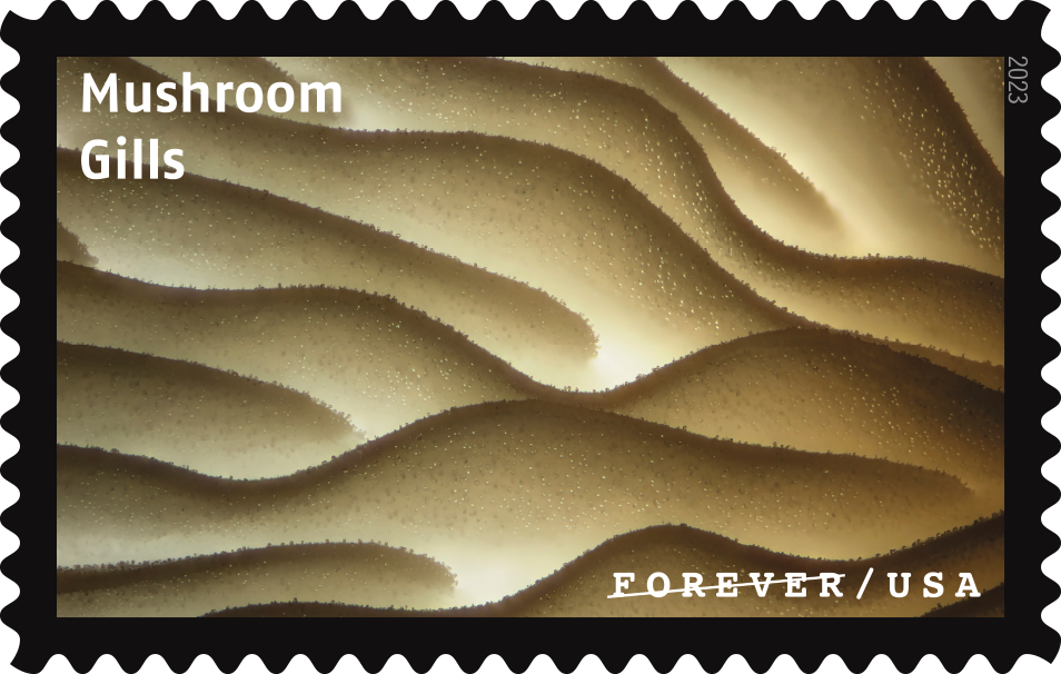 2023 Life Magnified Stamps - Forever Stamps