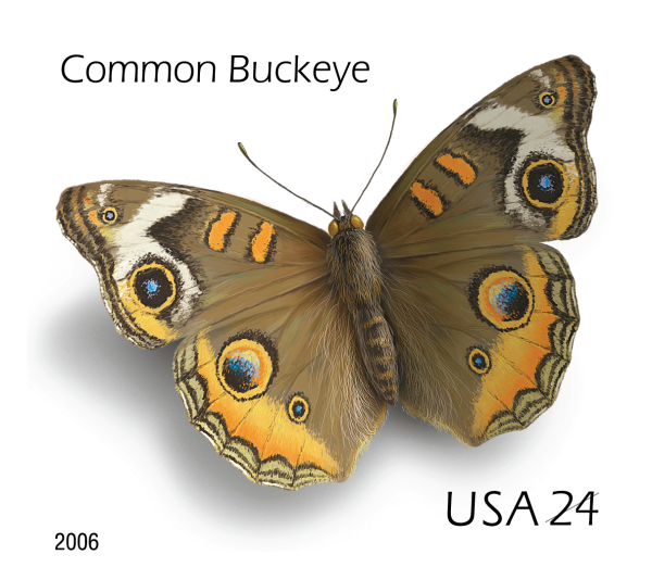 2006 Common Buckeye Butterfly Stamps - Forever Stamps