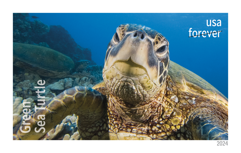 2024 Protect Sea Turtles Stamps - Forever Stamps